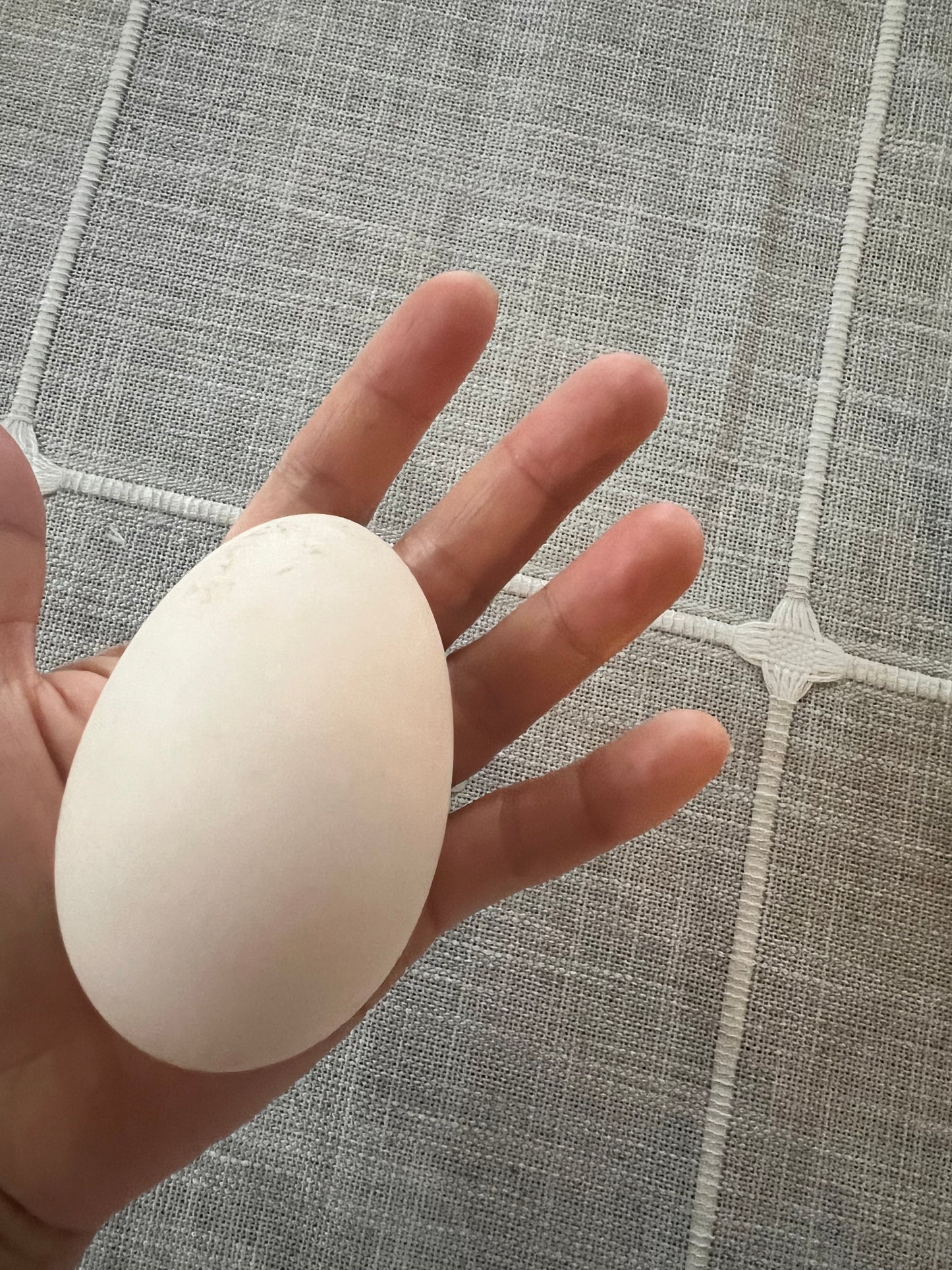 Geese Egg (per piece)