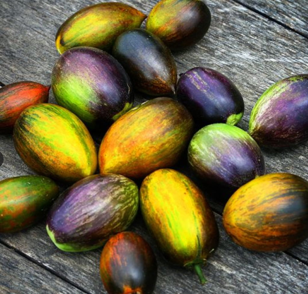 Tomato Brad's Atomic Grape