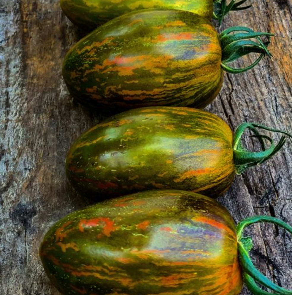 Tomato Brad's Atomic Grape