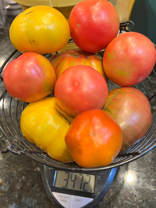 Tomato